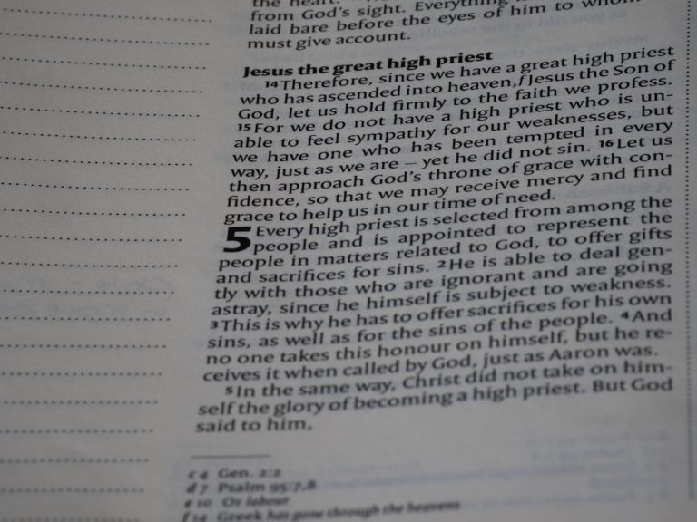 The Art of Essay Proofreading: Crafting Your Perfect Paper